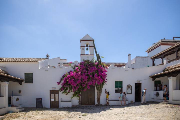 Ruta La Breña y Marismas Barbate (Cádiz) ‘El Palomar de la Breña’