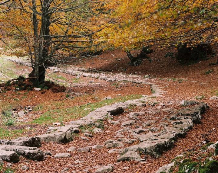 La calzada del siglo XI persiste a pesar de todo. Foto: Parque natural Aizkorri-Aratz.