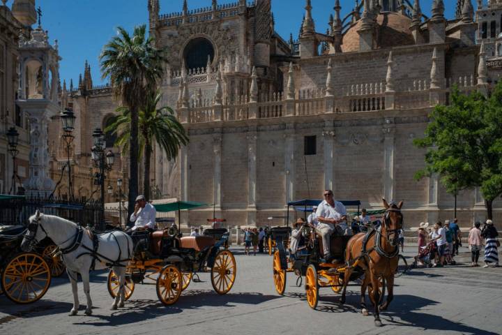 Un clásico, coches de caballos pero con 'dodotis' en Sevilla.