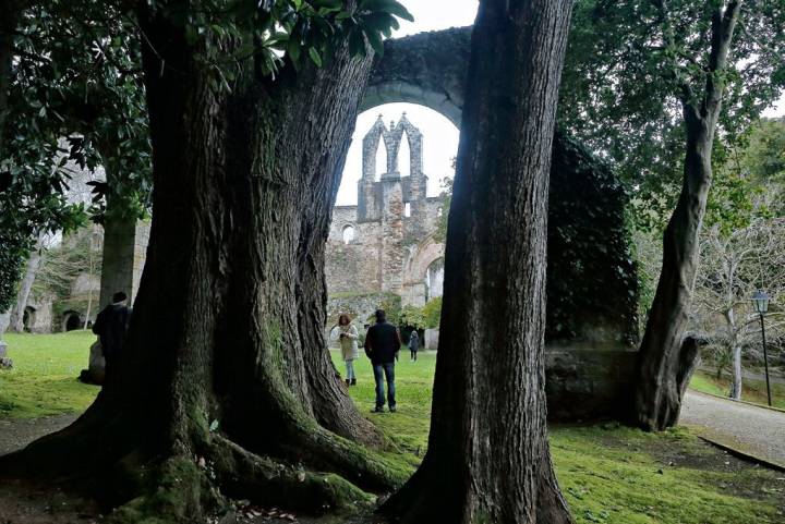 La vegetación se ha hecho dueña de las ruinas del convento.