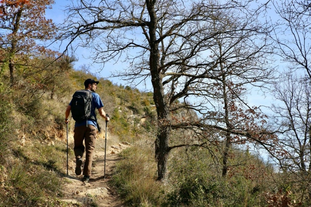 Los bosques más desconocidos de una isla entre montes vascos