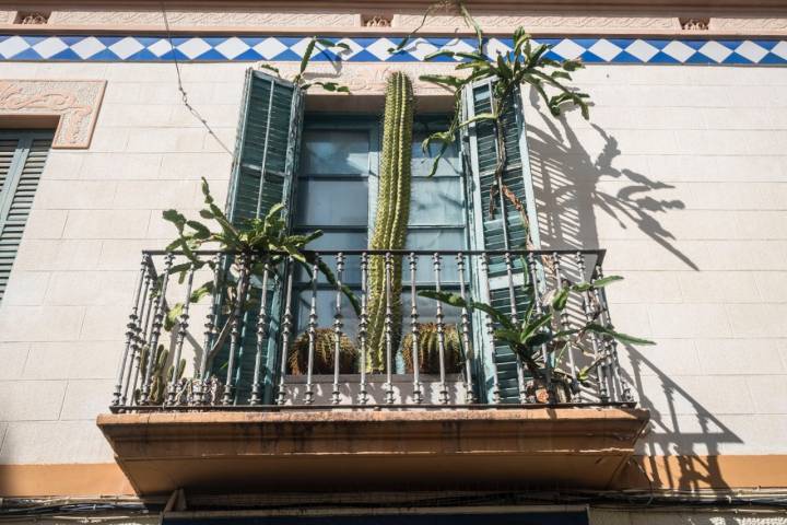 Balcón con un cactus en una calle de Sitges