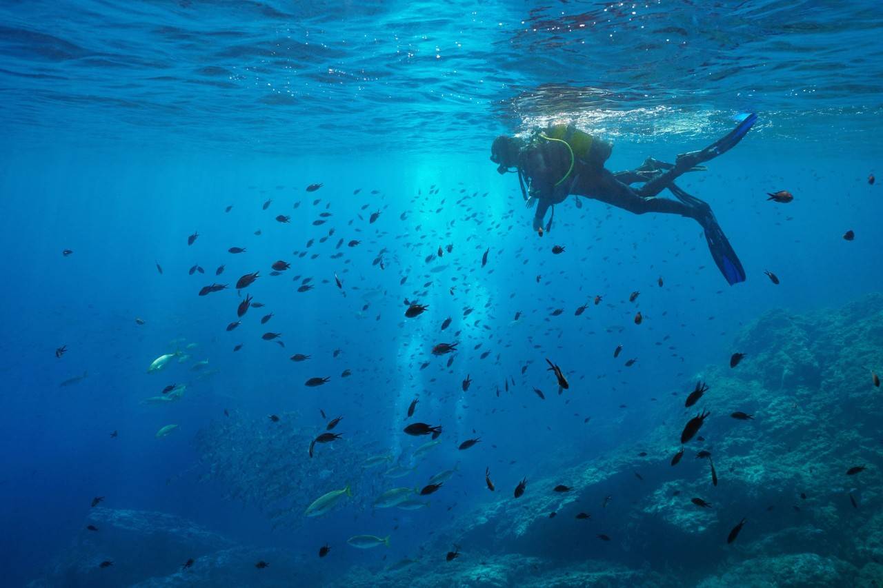 La gran belleza de Tossa de Mar no solo está en su castillo, también bajo sus aguas. Foto: Shutterstock.