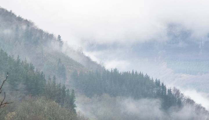 Ruta por el Goierri (Gipuzkoa): niebla en el valle del Oria