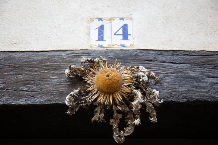 Ruta por el Goierri (Gipuzkoa): Eguzkilore o flor del cardo en la puerta de una casa