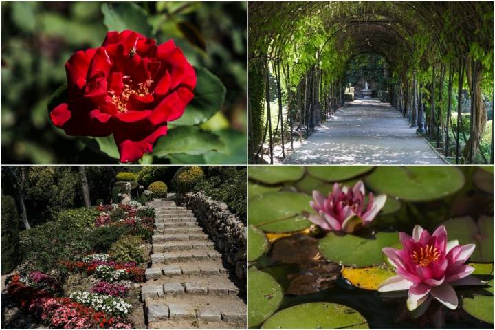 La glicina conforma la pérgola, los nenúfares flotan en la fuente e infinidad de flores adornan cada rincón.