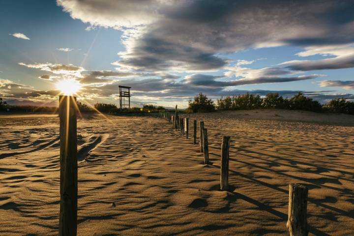 Uno de los rincones del Parc Natural dels Aiguamolls de l'Empordá. Fotografía: Jordi Cassú, cortesía del Ajuntament de Castelló d'Empúries.