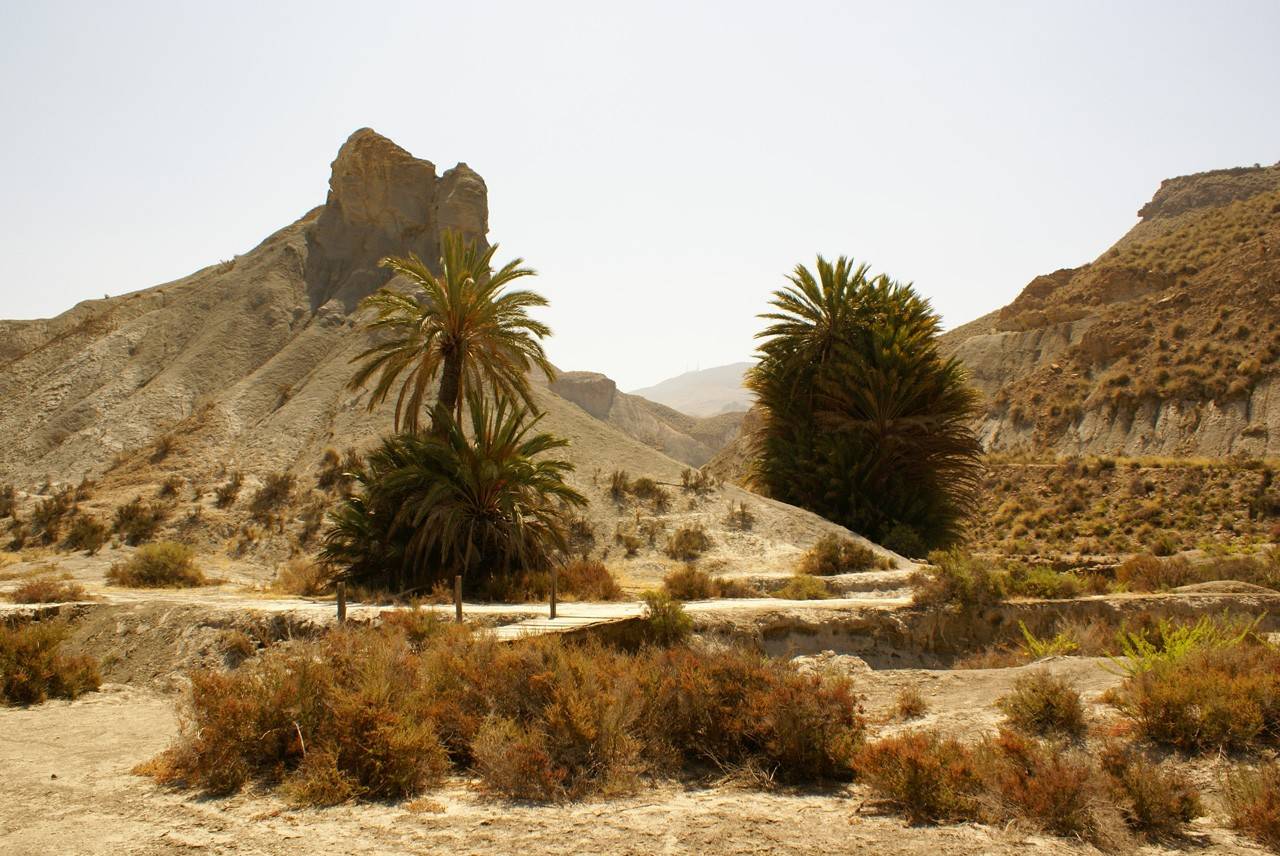 Tabernas